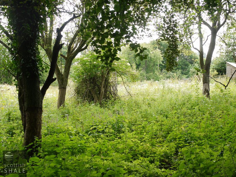 Hope oil works - enclosures on north of railway, site of minor works. June 2014