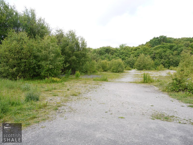 Pontybodkin oil works - site of brickworks, previously the oil works. June 2014