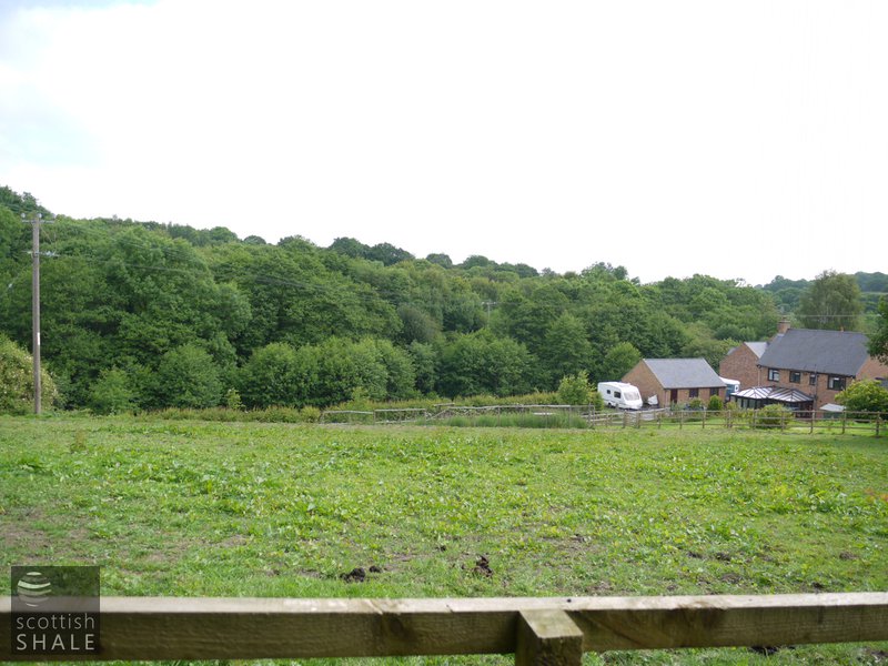 Pontybodkin oil works - the line of bushes mark the route of the Black Brook, the trees beyond mark the oilworks site. June 2014