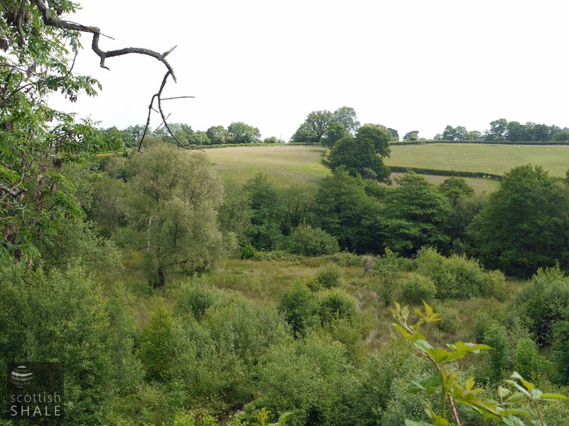 Canneline oil works, the main works site is beneath scrubland in the centre of the image. June 2014