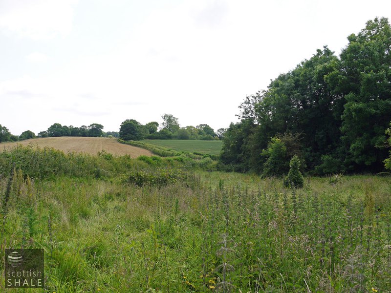 Coppa oil works, looking south east towards site of Coppa colliery. June 2014
