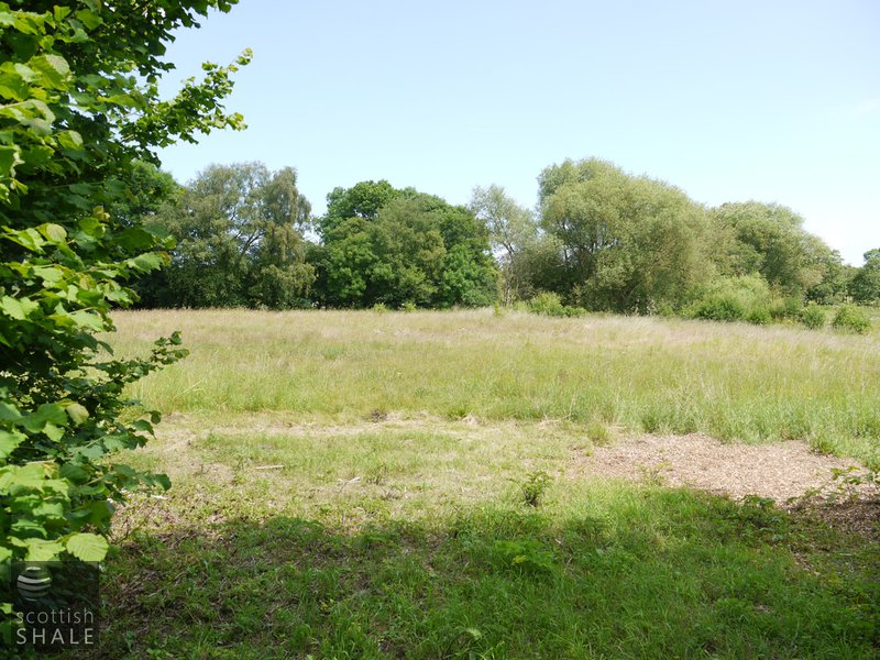 Coppa oil works, site of retorts. June 2014