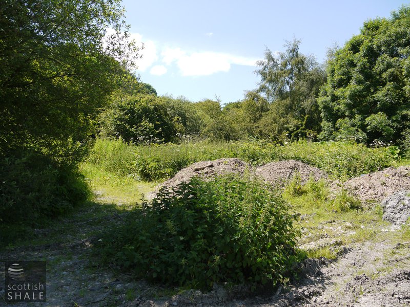 Plas-ym-Mhowys oil works - site of works, June 2014