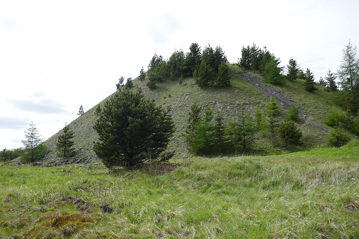 P1080567