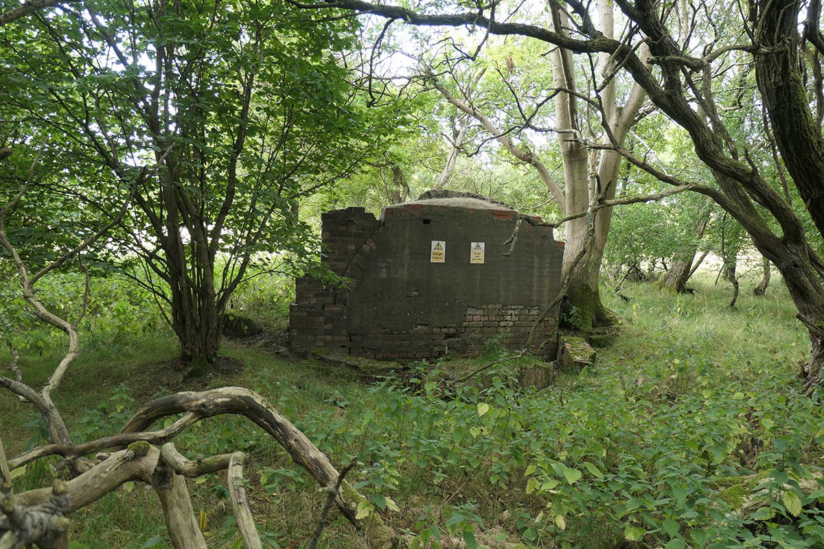 P1085387.jpg