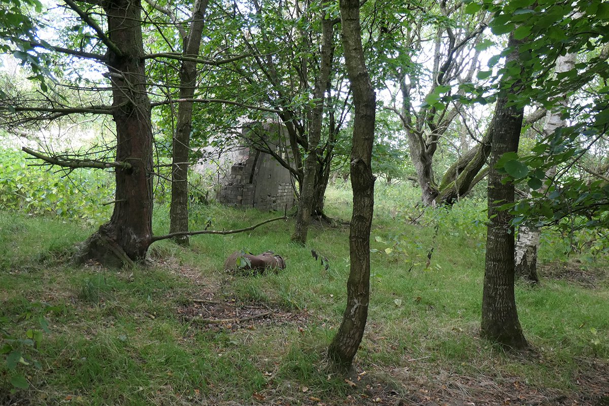 P1085394.jpg