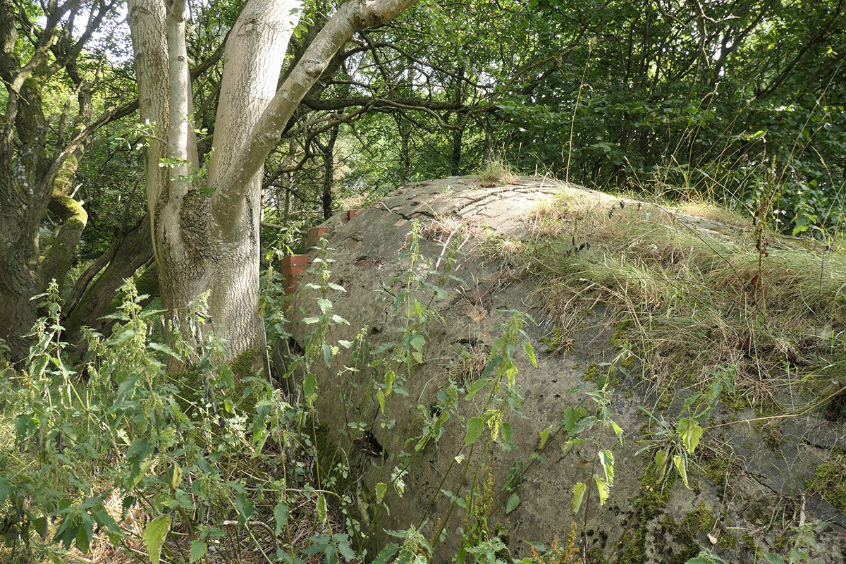 P1085407.jpg