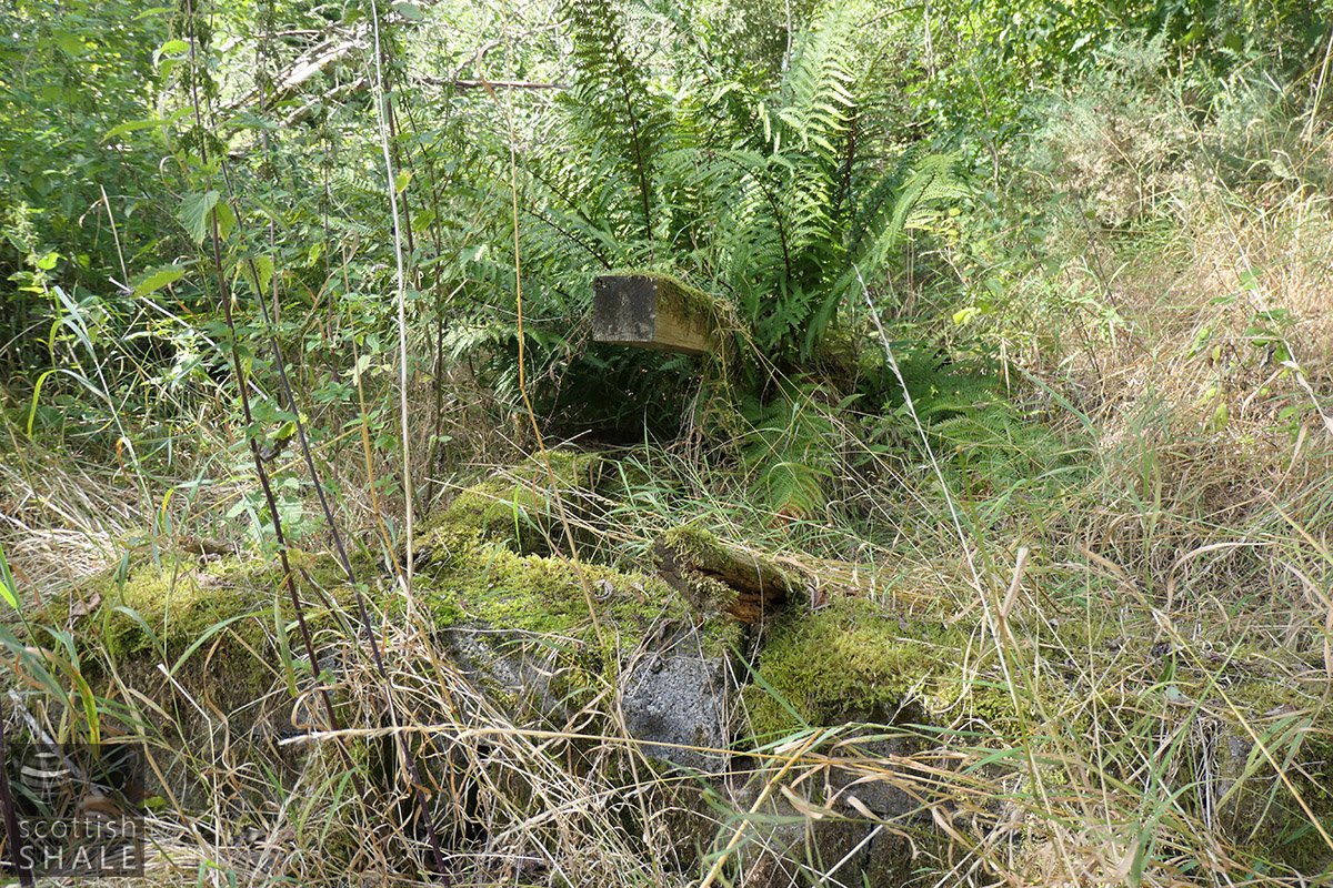 P1085569.jpg
