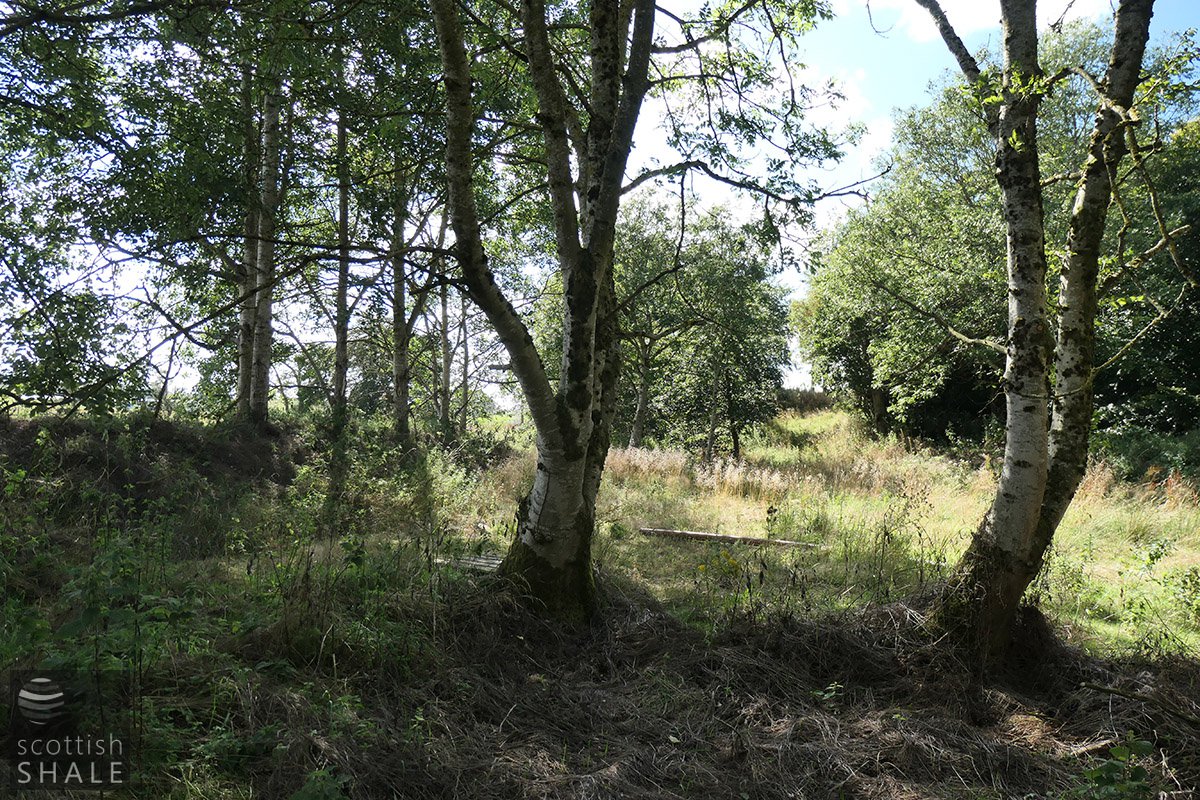 P1085576.jpg