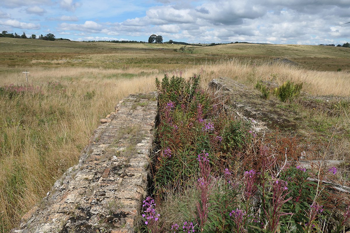 P1085797