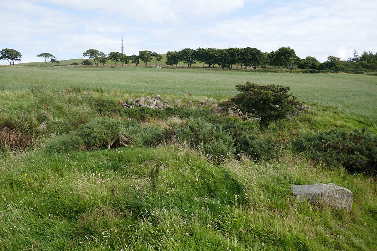 P1100419