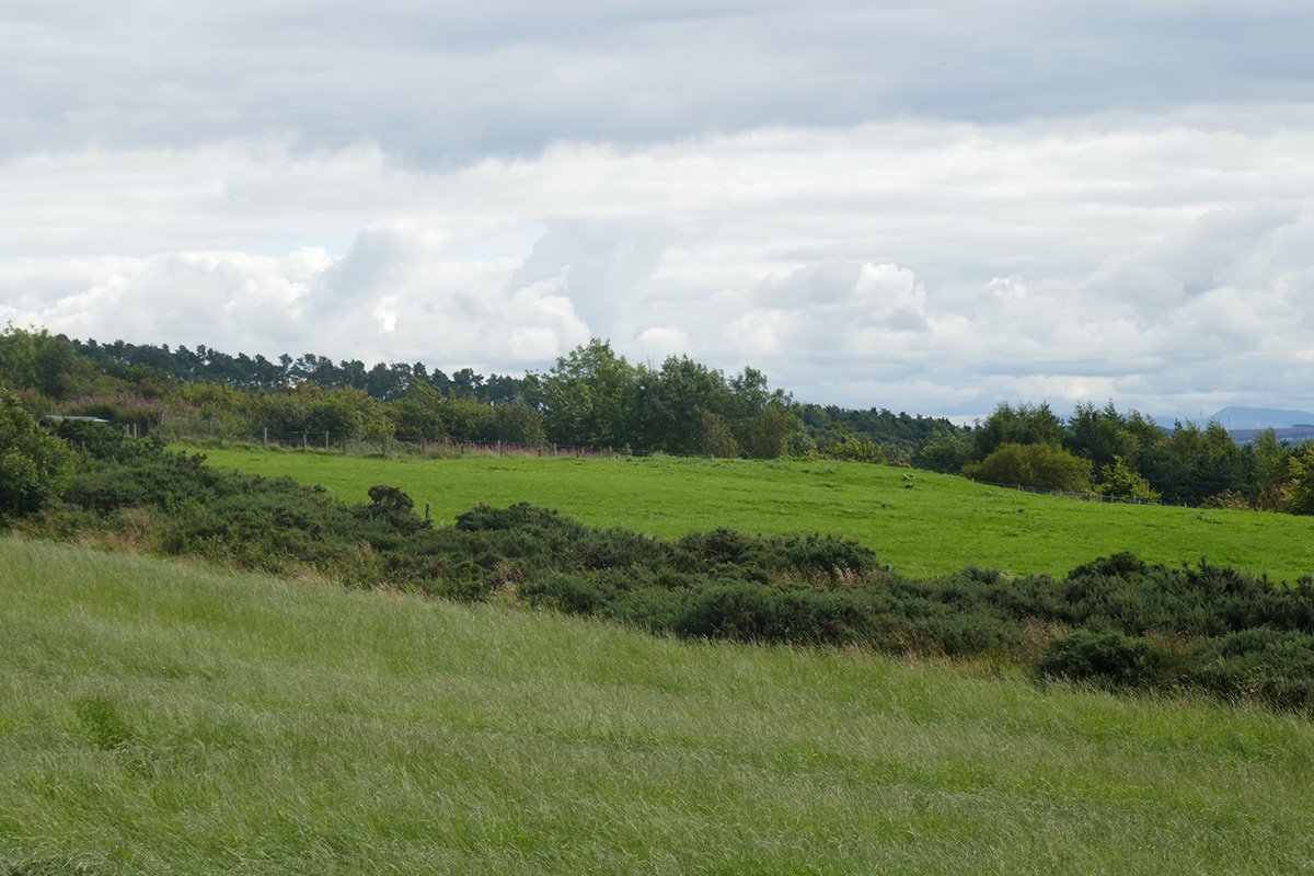 P1100426