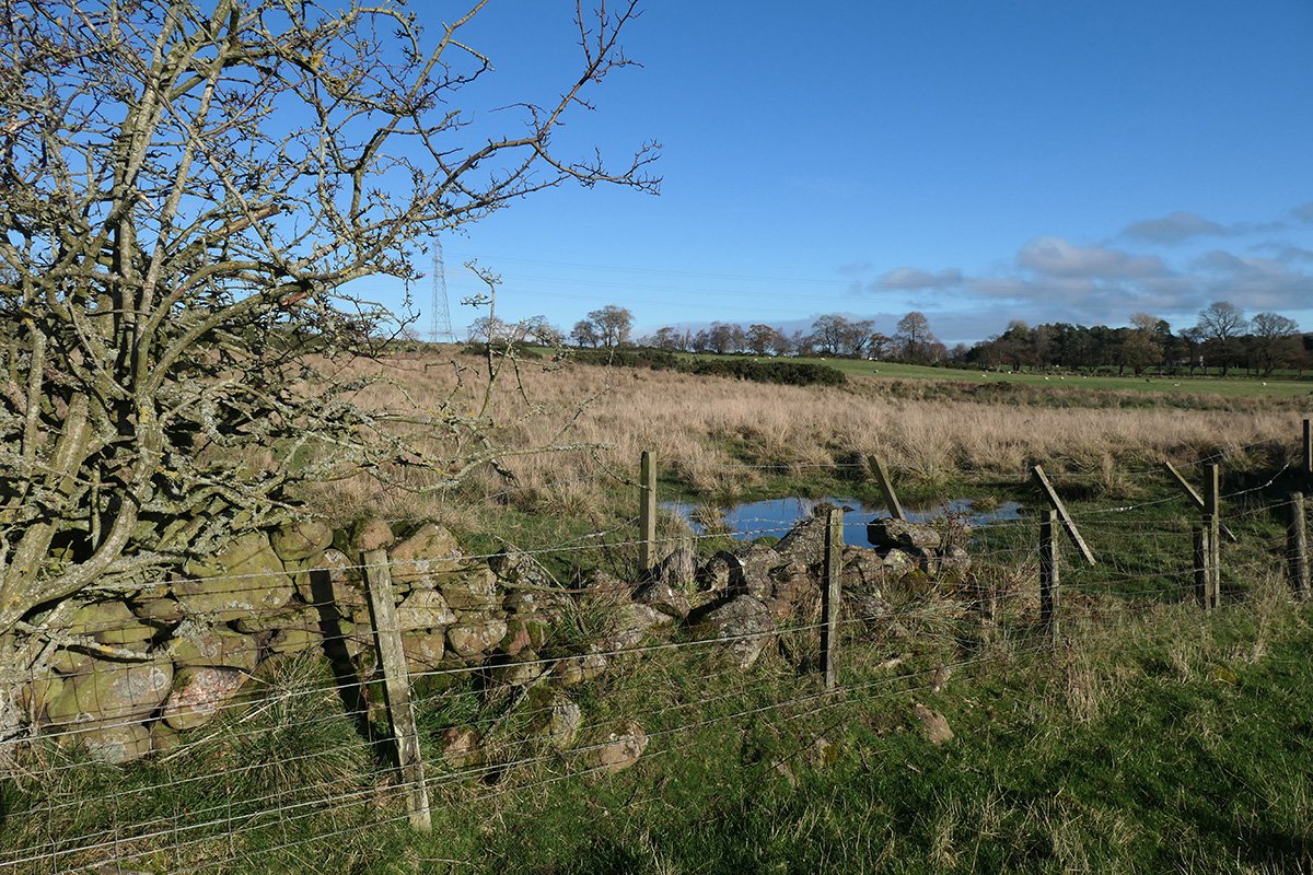 P1108565
