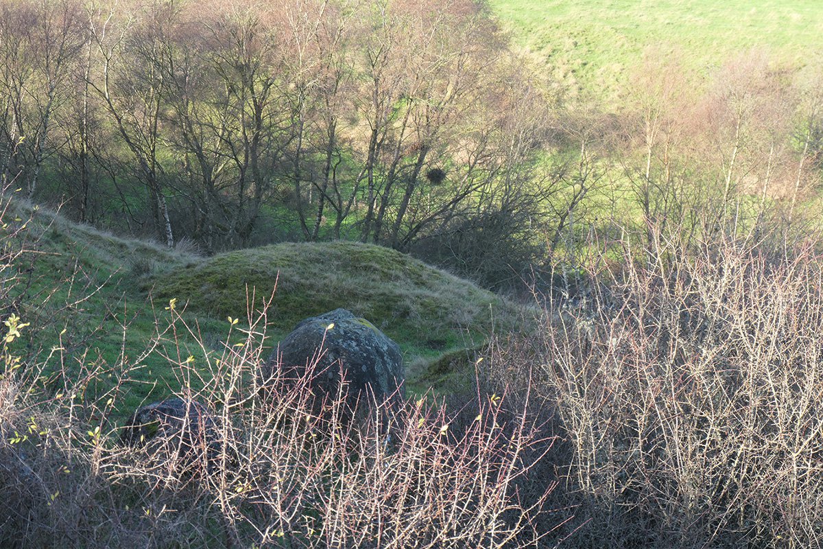 P1108698