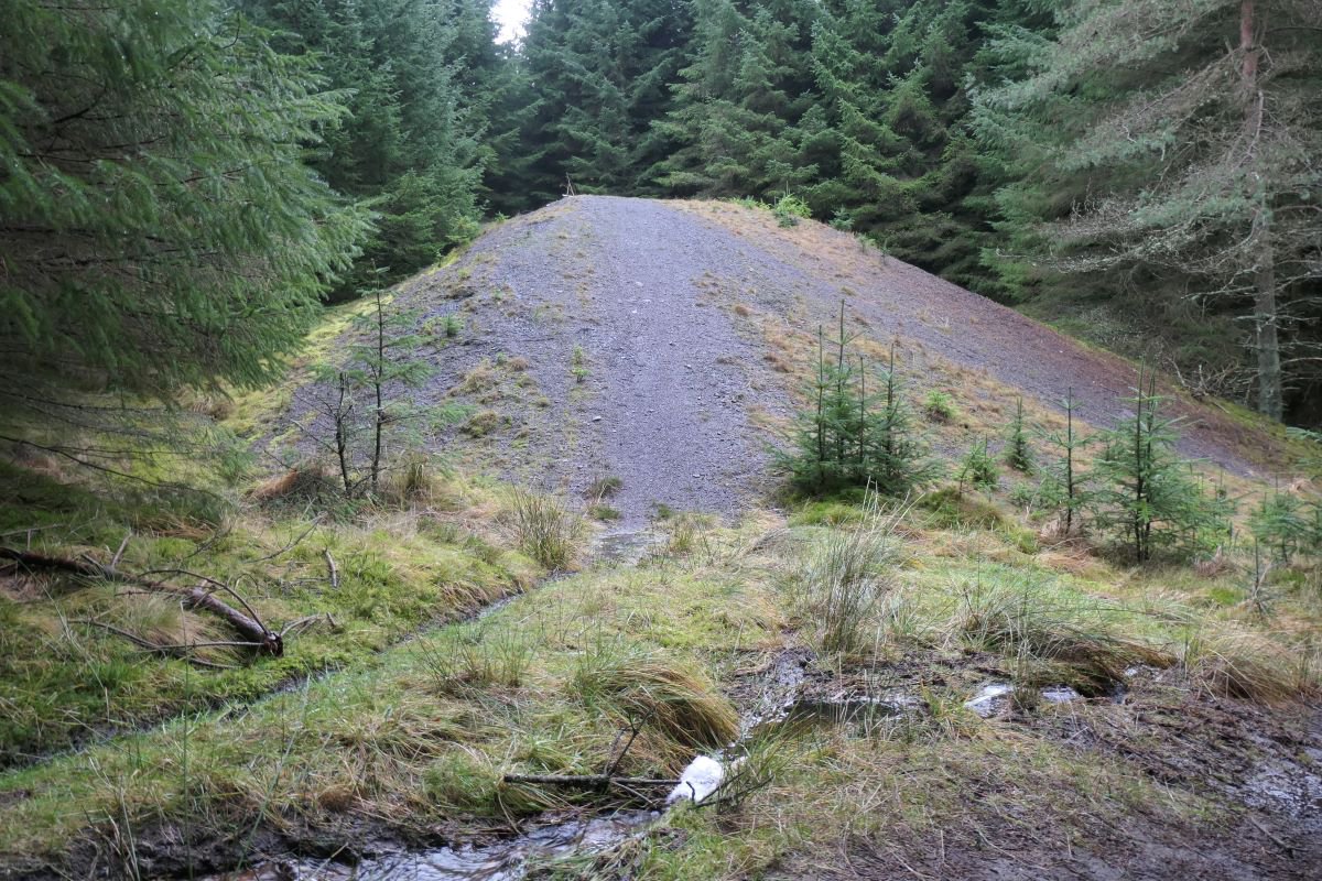 P1119657