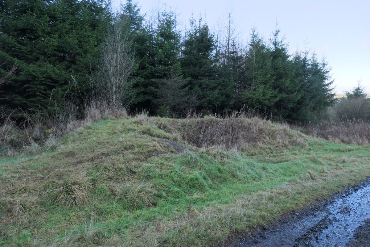 P1129857