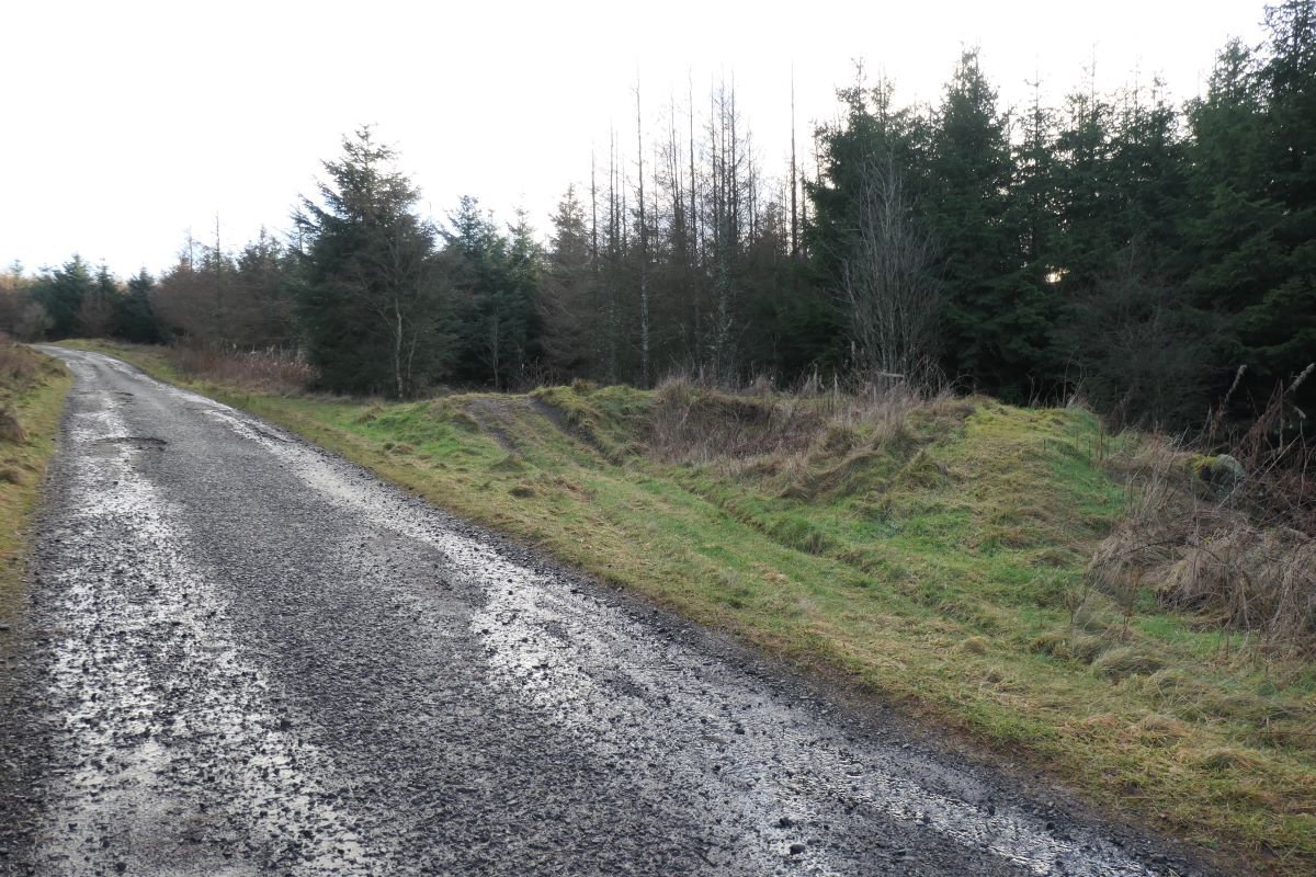 P1129933