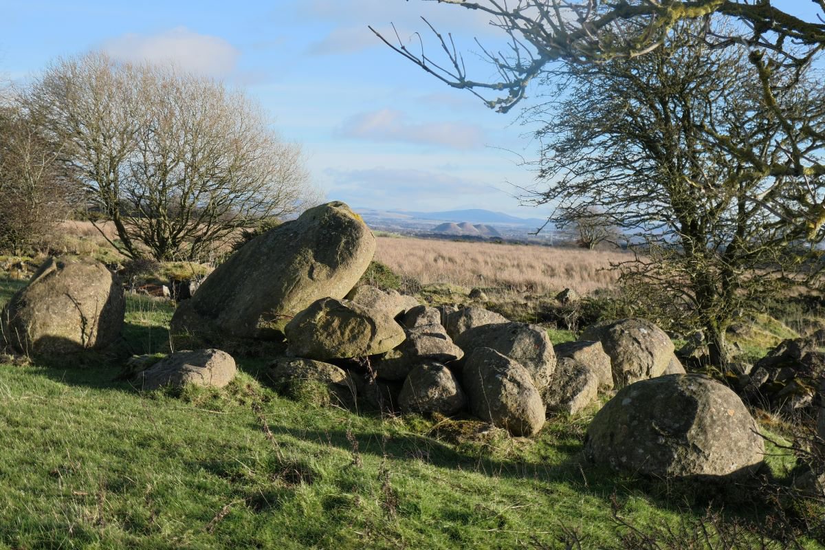 P1130215