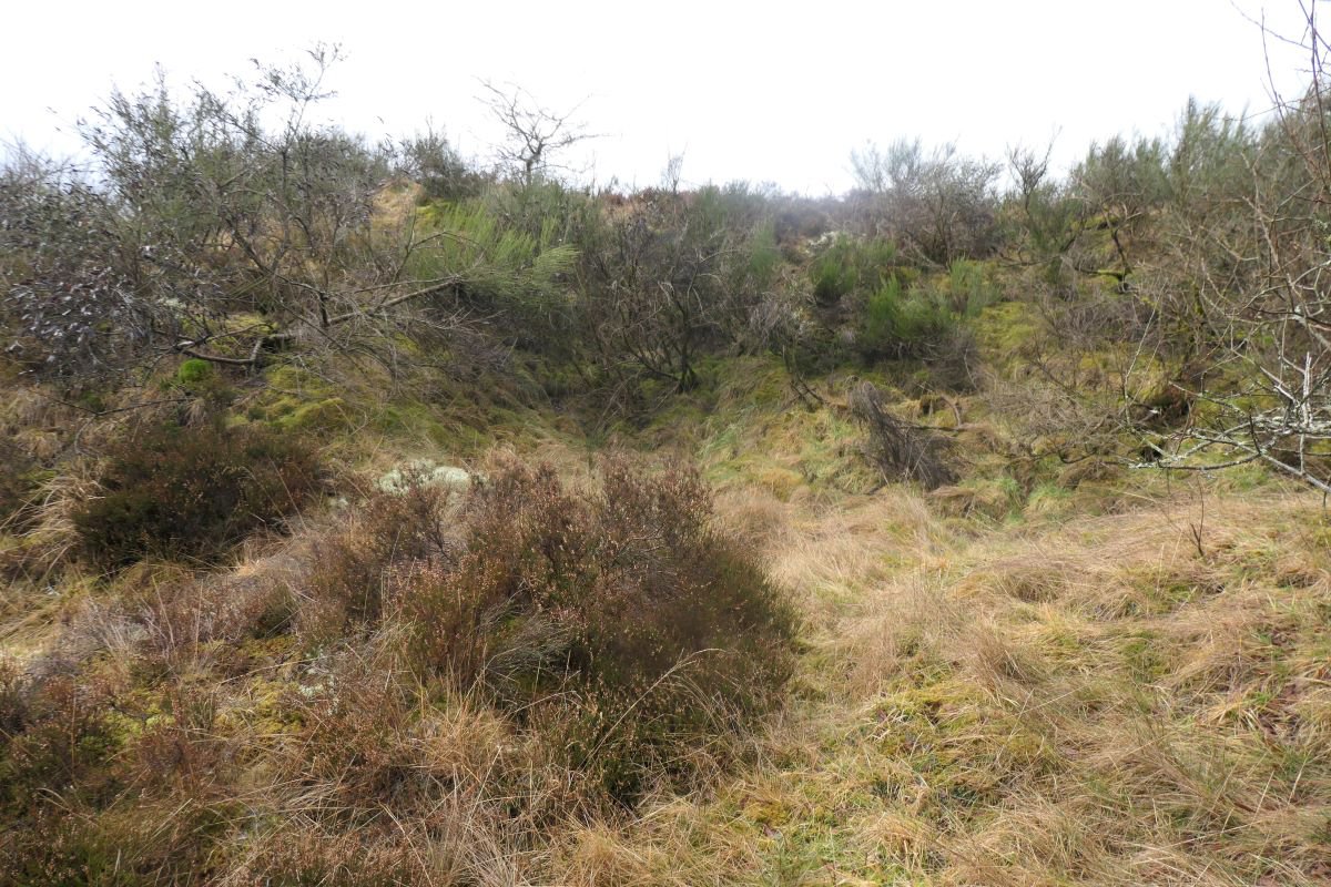 P1130455