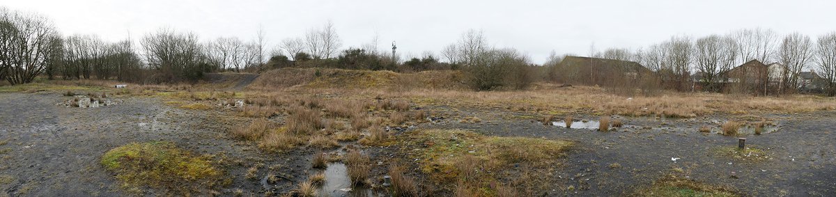 P1141600