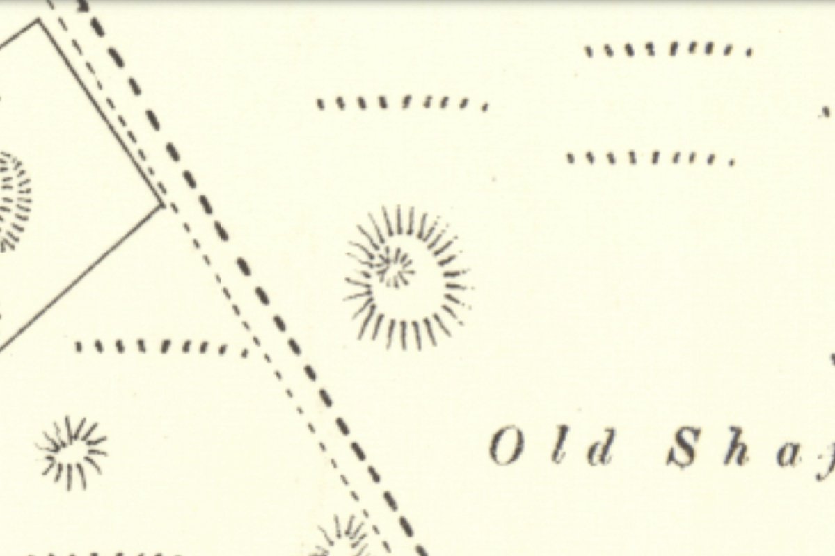 Woodmuir early 3-3 1895