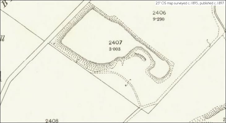 abercorn pits detail 2.jpg