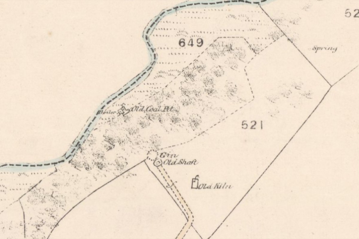 barbauchlaw old 25