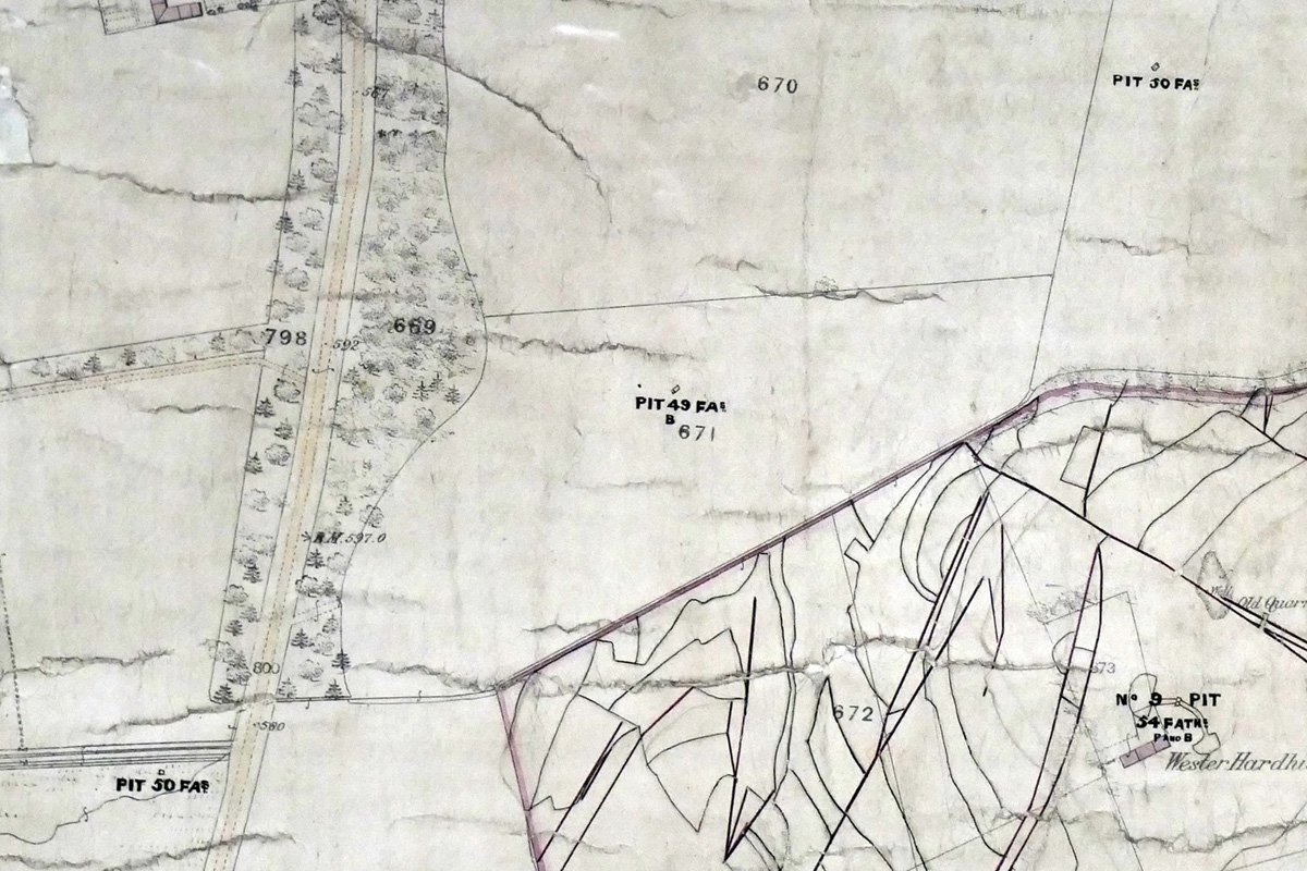 barbauchlaw xx 1855