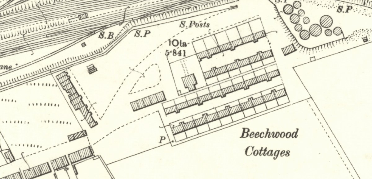 beechwood1896.jpg
