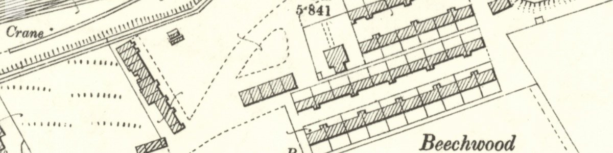 beechwood rows mast.jpg