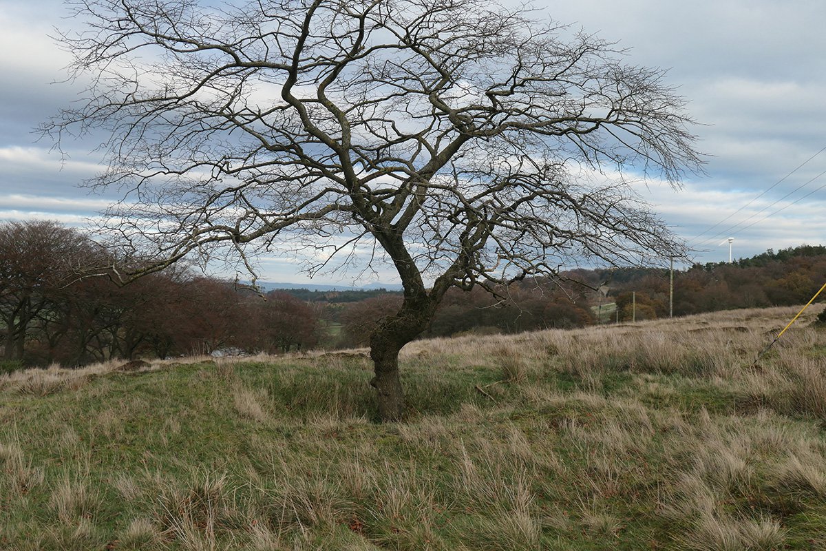 cairnpapple holes 5