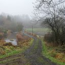Breich Water bridge: View towards bridge from near City Farm. 24/11/19
