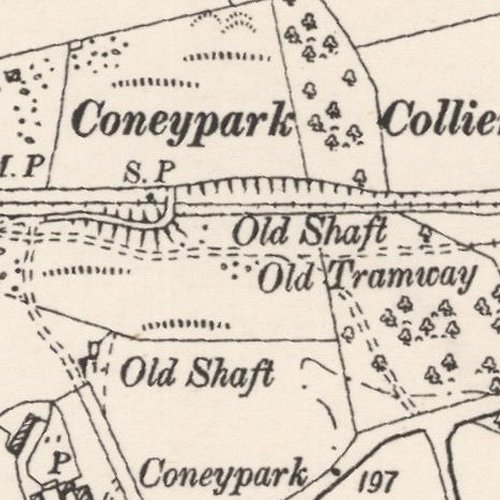 coneyparkworks500.jpg