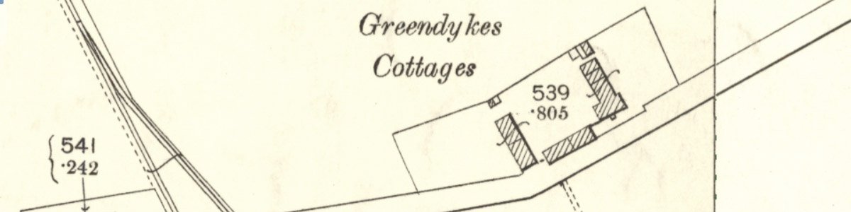 greendykes rows mast.jpg