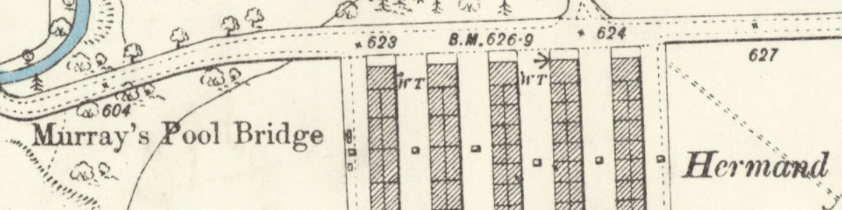hermand new rows mast.jpg