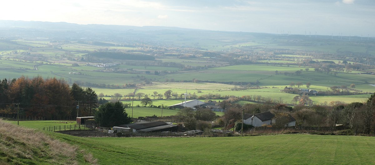 hilderston hills
