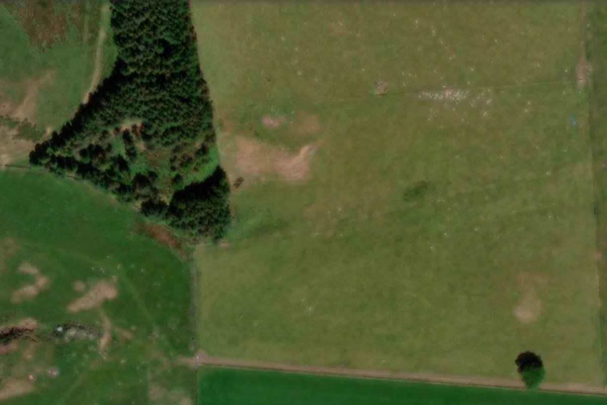 kipps 1855 aerial