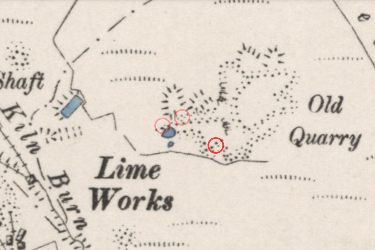 levenseat mine1 6