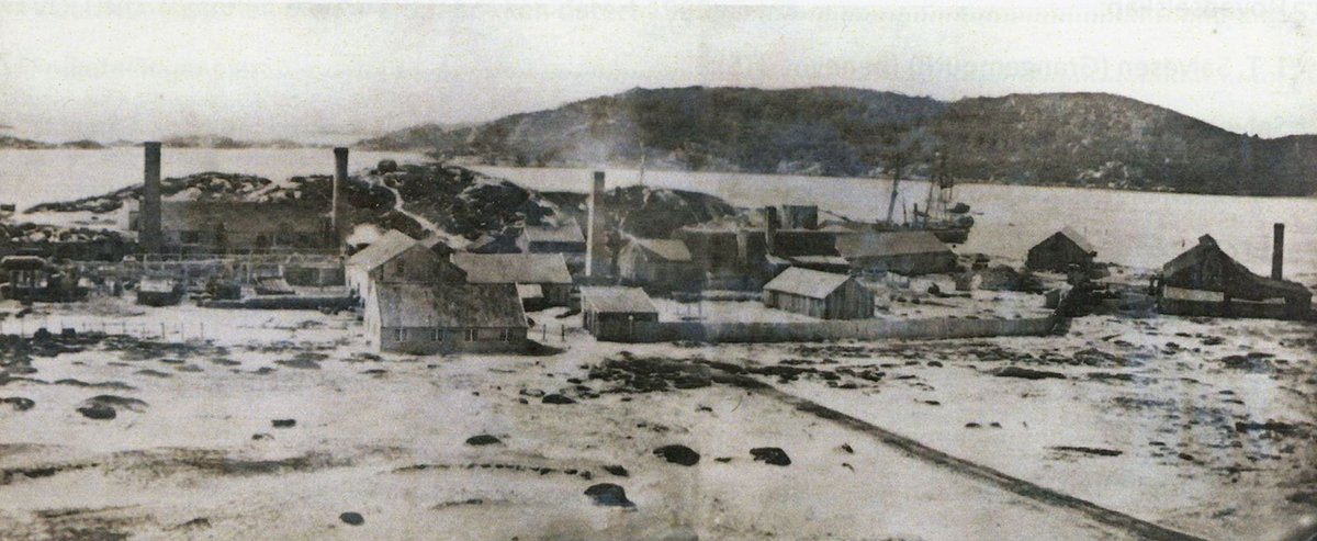 mandal2.jpg