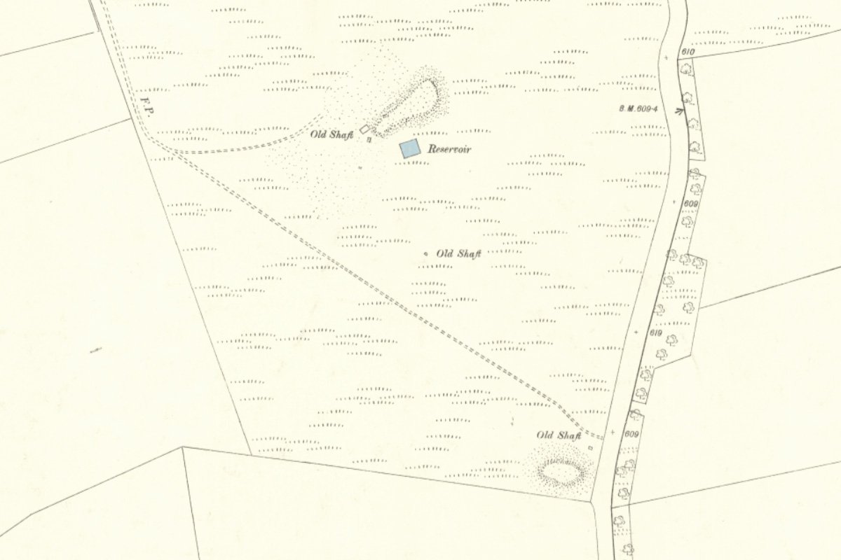 moss 25 1895