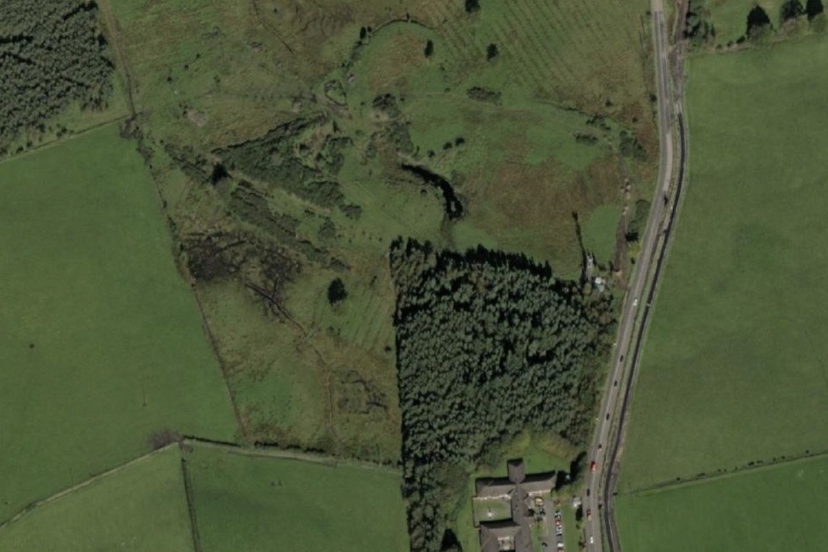 moss aerial