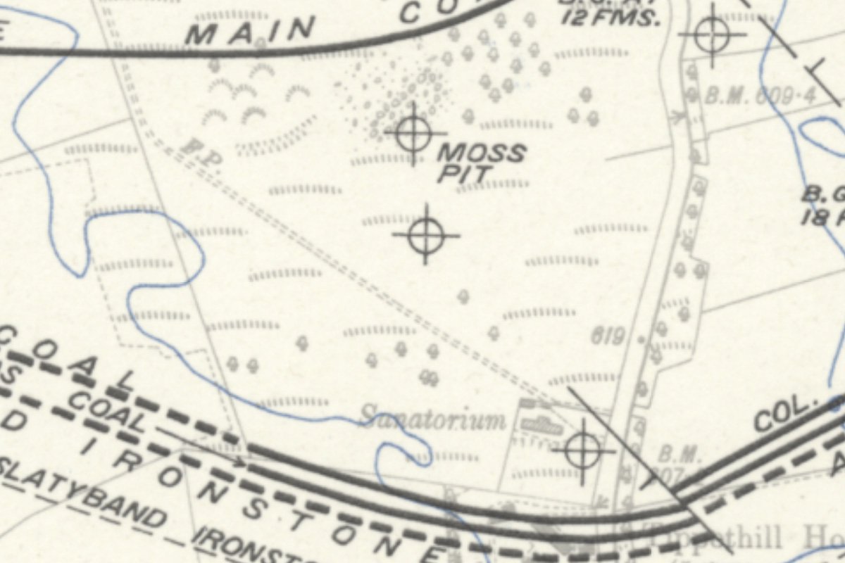 moss geological