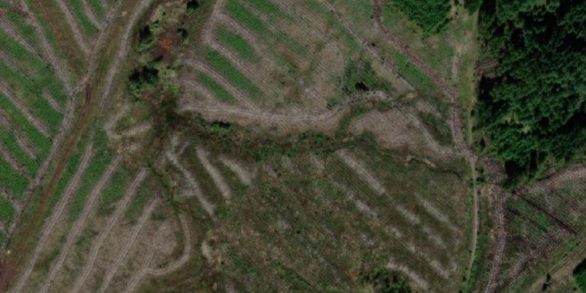 muldronU2 aerial