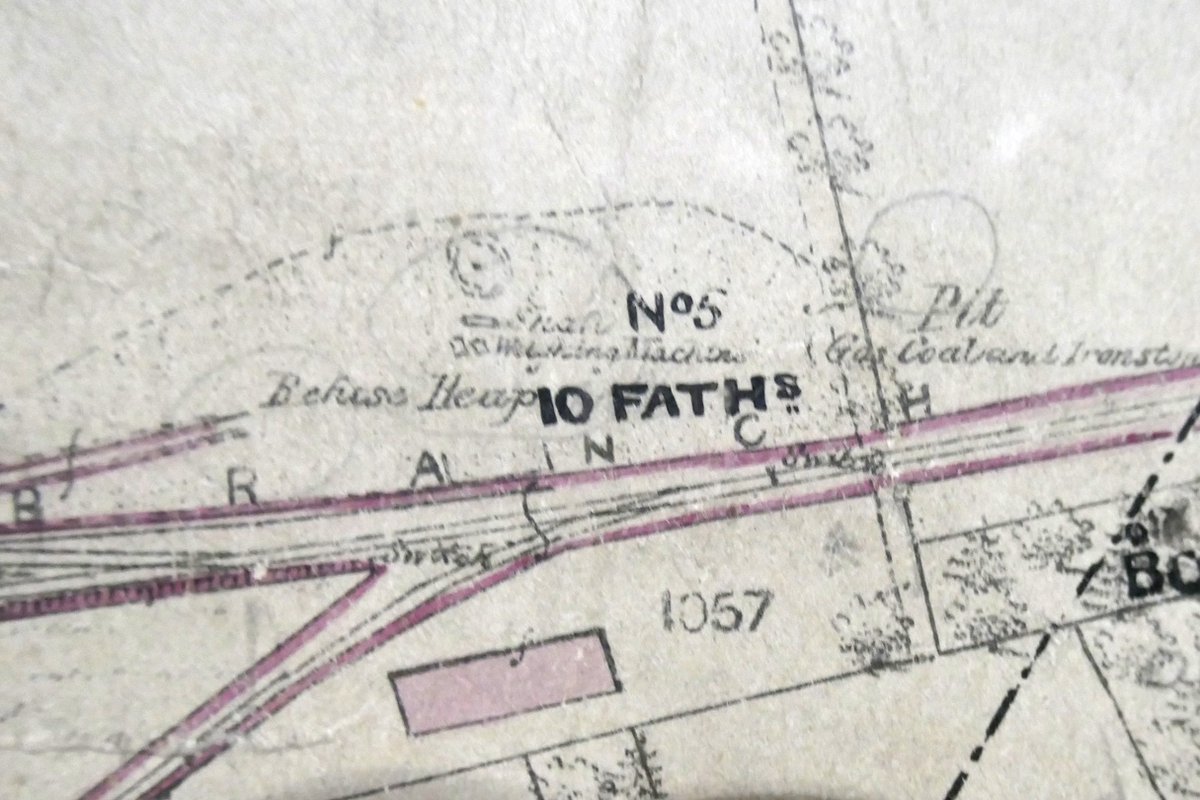 no.5 c