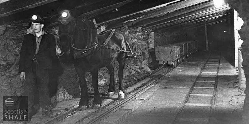 pony driver.jpg