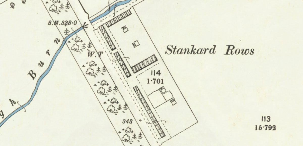 stankard1895.jpg