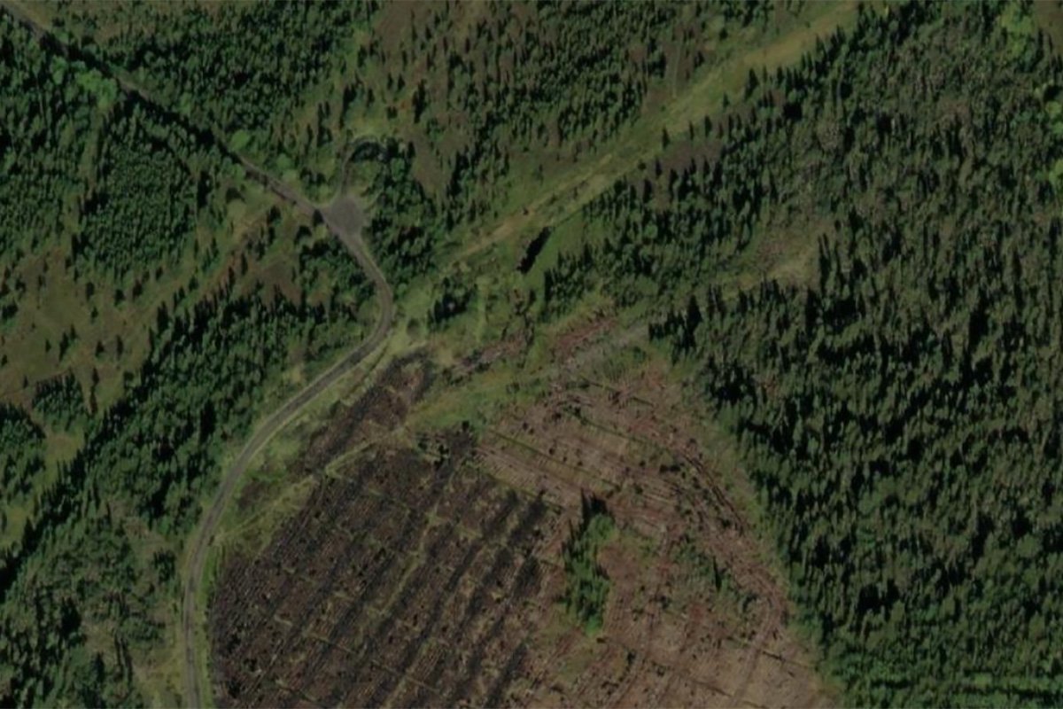 starryshaw aerial