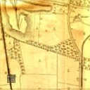 t183325.jpg