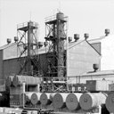 t217410.jpg
