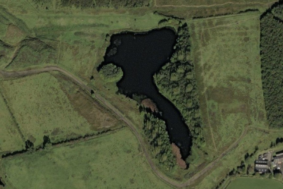 torbane 1 aerial